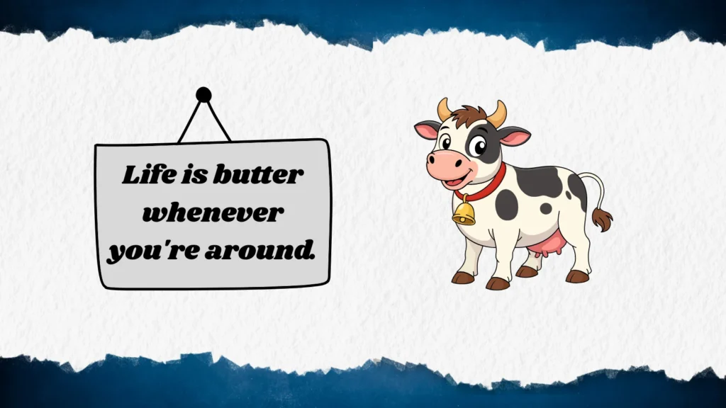 Cute Cow Puns