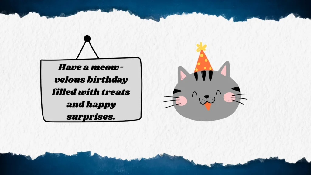 Cat Birthday Puns