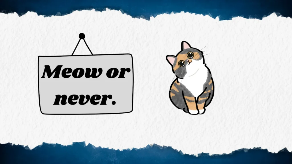 Short Cat Puns